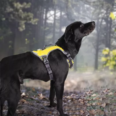 FIDA No Pull Dog Harness - Image 8