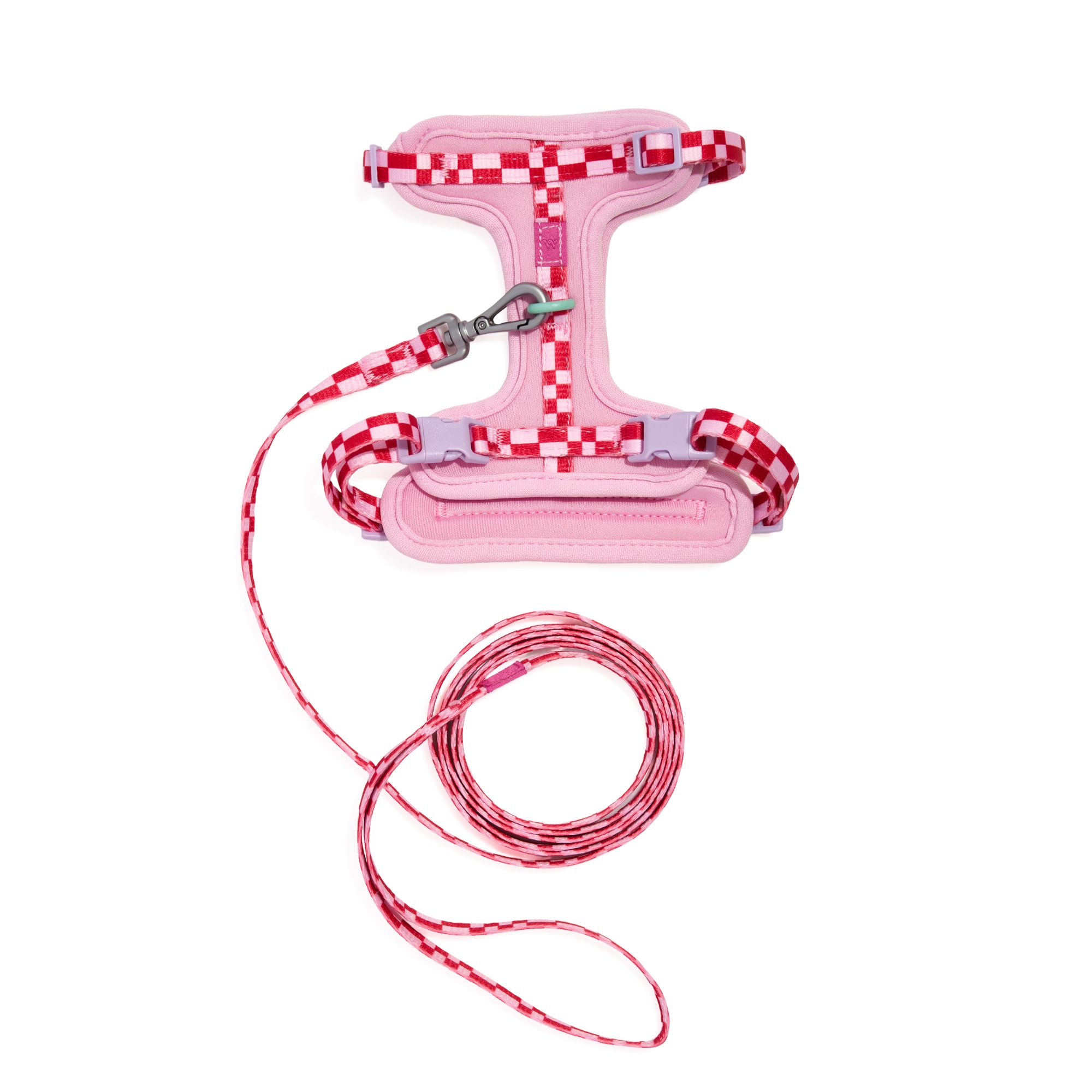 Wild One cat harness and leash kit