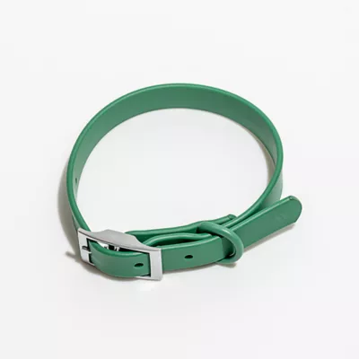 Wild One Dog Collar, Adjustable, Size and Color Vary - Image 1