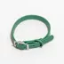 Wild One Dog Collar, Adjustable, Size and Color Vary image thumbnail 1