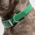 Wild One Dog Collar, Adjustable, Size and Color Vary image thumbnail 2