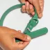 Wild One Dog Collar, Adjustable, Size and Color Vary image thumbnail 3