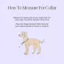 Wild One Dog Collar, Adjustable, Size and Color Vary image thumbnail 7