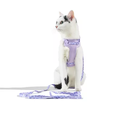 Wild One Kitten & Cat Harness & Leash Kit, Color and Size Vary - Image 2