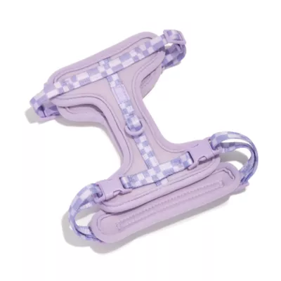 Wild One Kitten & Cat Harness & Leash Kit, Color and Size Vary - Image 3