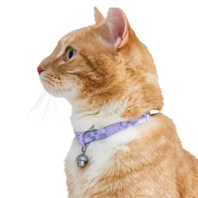 Wild One Breakaway Cat Collar Bubble Gum - Image 2