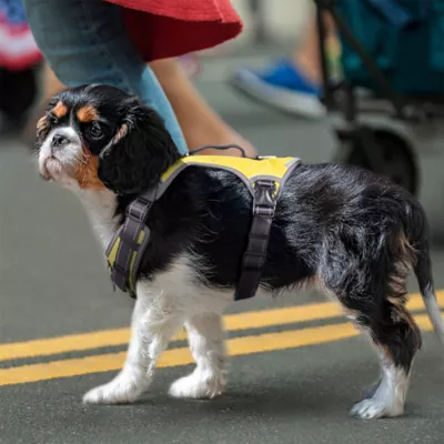 FIDA No Pull Dog Harness - Image 8