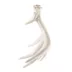 Browning® Antler Dog Chew Toy image thumbnail 3