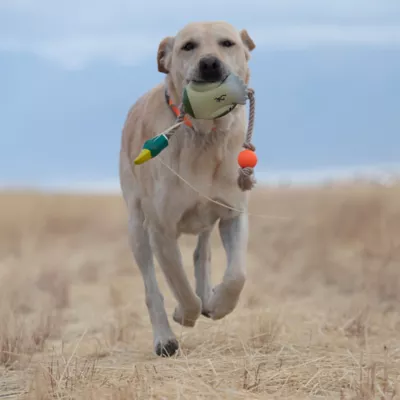 Browning® Duck Rope Dog Toy Natural - Image 7