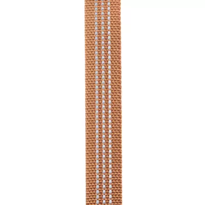 Carhartt® Field Nylon Dog Leash with Reflective Triple-Needle Stitching - Image 6