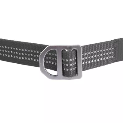 Carhartt® Field Nylon Dog Leash with Reflective Triple-Needle Stitching - Image 7