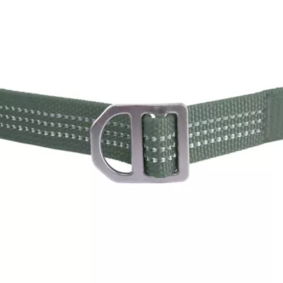 Carhartt® Field Nylon Dog Leash with Reflective Triple-Needle Stitching - Image 7