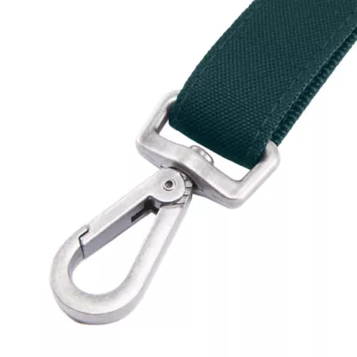 Carhartt® Field Nylon Dog Leash with Reflective Triple-Needle Stitching - Image 3