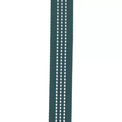 Carhartt® Field Nylon Dog Leash with Reflective Triple-Needle Stitching - Image 6