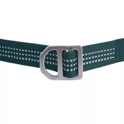 Carhartt® Field Nylon Dog Leash with Reflective Triple-Needle Stitching - Image 7