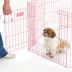 Midwest Homes for Pets Exercise Pen for Dogs, 16 Square Feet of Play Area W/ Easy Set-Up image thumbnail 2