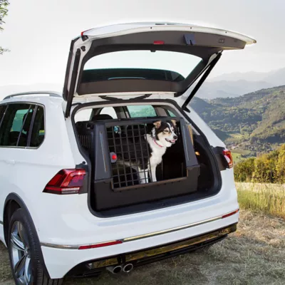 MidWest Homes for Pets Atlas Scenic SUV Double Door Dog Crate - Image 7