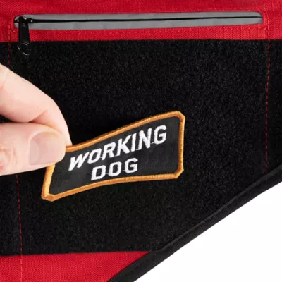 Carhartt® Ripstop Service Dog Harness with Rain Defender® Durable Water Repellent - Image 4