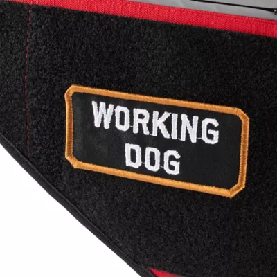 Carhartt® Ripstop Service Dog Harness with Rain Defender® Durable Water Repellent - Image 8