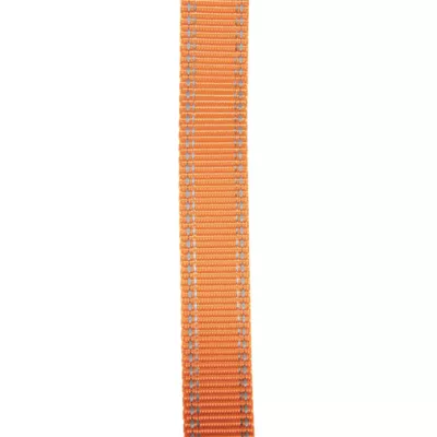 Browning® Safety Orange Classic Webbing 6-ft Dog Leash - Image 7