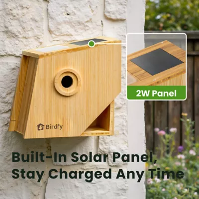 Birdfy Smart Outdoor Birdhouse Polygon with AI Camera - Image 3