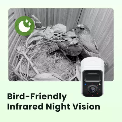 Birdfy Smart Outdoor Birdhouse Polygon with AI Camera - Image 4
