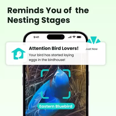 Birdfy Smart Outdoor Birdhouse Polygon with AI Camera - Image 6