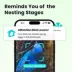 Birdfy Smart Outdoor Birdhouse Polygon with AI Camera image thumbnail 6