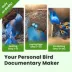 Birdfy Smart Outdoor Birdhouse Polygon with AI Camera image thumbnail 7