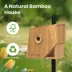 Birdfy Smart Outdoor Birdhouse Polygon with AI Camera image thumbnail 9