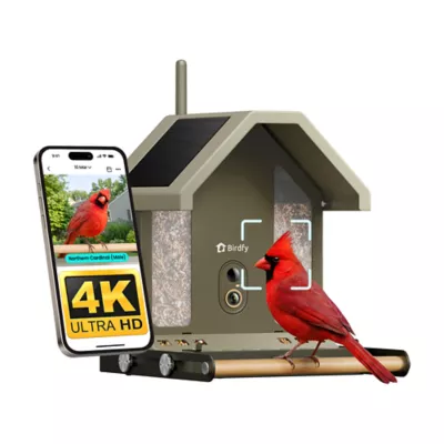 Birdfy Smart Outdoor Feeder Metal 2 with 4K AI Camera - Image 1