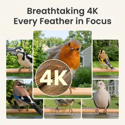 Birdfy Smart Outdoor Feeder Metal 2 with 4K AI Camera - Image 3