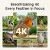 Birdfy Smart Outdoor Feeder Metal 2 with 4K AI Camera image thumbnail 3