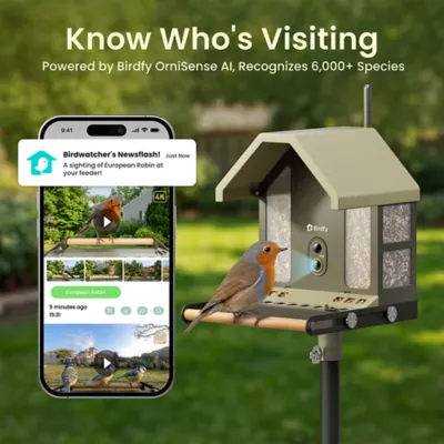 Birdfy Smart Outdoor Feeder Metal 2 with 4K AI Camera - Image 4