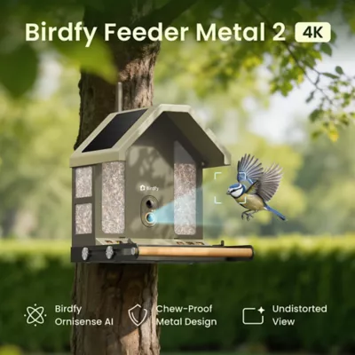 Birdfy Smart Outdoor Feeder Metal 2 with 4K AI Camera - Image 2