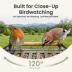 Birdfy Smart Outdoor Feeder Metal 2 with 4K AI Camera image thumbnail 5