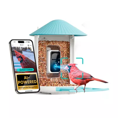Birdfy Smart Bird Feeder with AI Camera Outdoor Feeder - Image 1