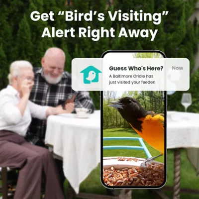 Birdfy Smart Outdoor Feeder with Lifetime AI Camera - Image 2