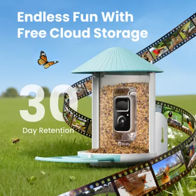 Birdfy Smart Bird Feeder with AI Camera Outdoor Feeder - Image 4