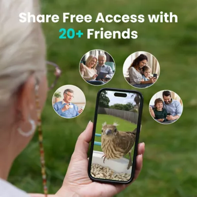 Birdfy Smart Outdoor Feeder with Lifetime AI Camera - Image 5