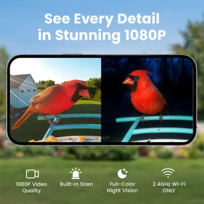 Birdfy Smart Outdoor Feeder with Lifetime AI Camera - Image 6