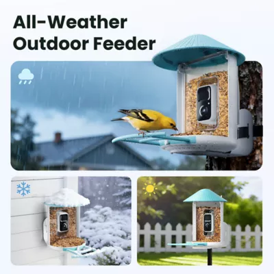 Birdfy Smart Bird Feeder with AI Camera Outdoor Feeder - Image 7
