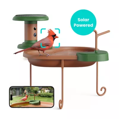 Birdfy Jolly V Solar Powered Smart Bird Bath with Camera - Image 1