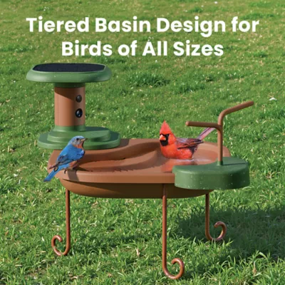 Birdfy Jolly V Solar Powered Smart Bird Bath with Camera - Image 2