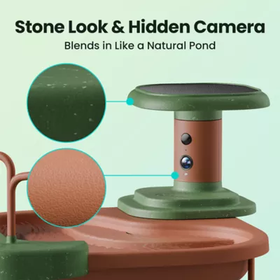 Birdfy Jolly V Solar Powered Smart Bird Bath with Camera - Image 4