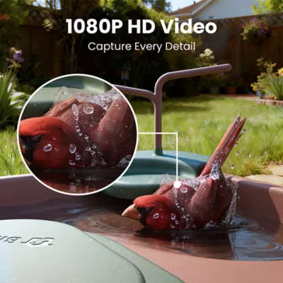 Birdfy Jolly V Solar Powered Smart Bird Bath with Camera - Image 5