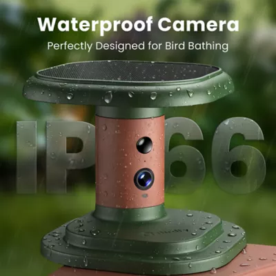 Birdfy Jolly V Solar Powered Smart Bird Bath with Camera - Image 7