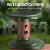 Birdfy Jolly V Solar Powered Smart Bird Bath with Camera image thumbnail 7