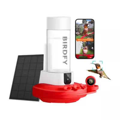 Birdfy Hummingbird Solar Powered Outdoor Feeder - Lifetime AI Camera - Image 1