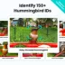 Birdfy Hummingbird Solar Powered Outdoor Feeder - Lifetime AI Camera image thumbnail 3